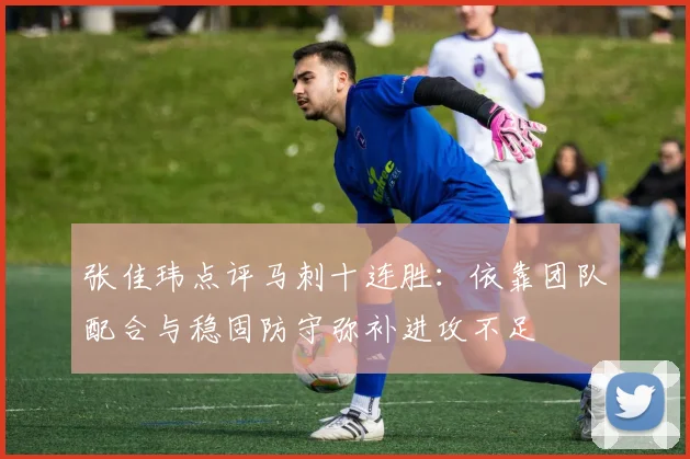 张佳玮点评马刺十连胜：依靠团队配合与稳固防守弥补进攻不足