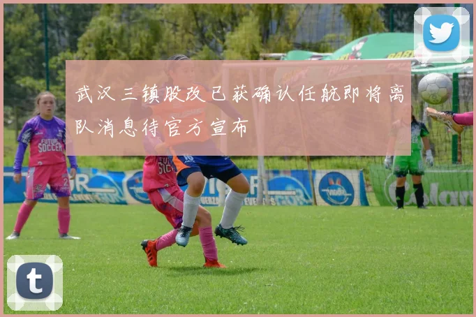 武汉三镇股改已获确认任航即将离队消息待官方宣布
