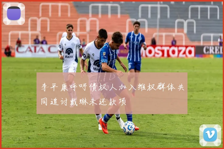 李平康呼吁债权人加入维权群体共同追讨戴琳未还款项