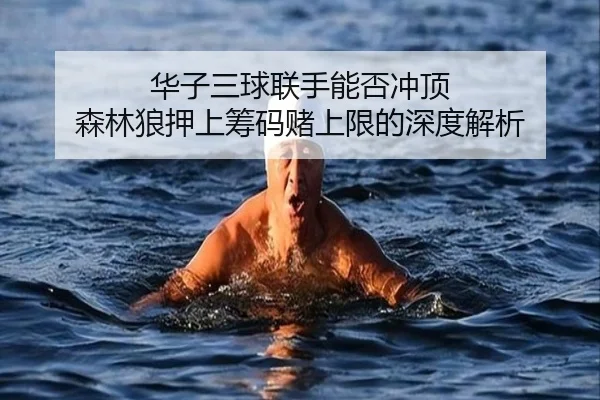 华子三球联手能否冲顶 森林狼押上筹码赌上限的深度解析 - leyu